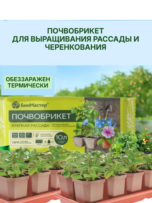 Почвобрикет БиоМастер крепкая рассада 10 л