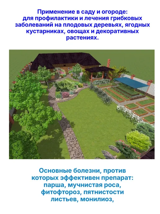 Медный купорос для сада и дома 100 г превью 4