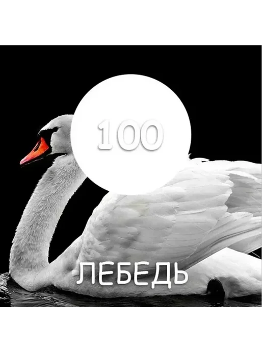 Краска трещиностойкая резиновая, матовая,белая.1 кг превью 3