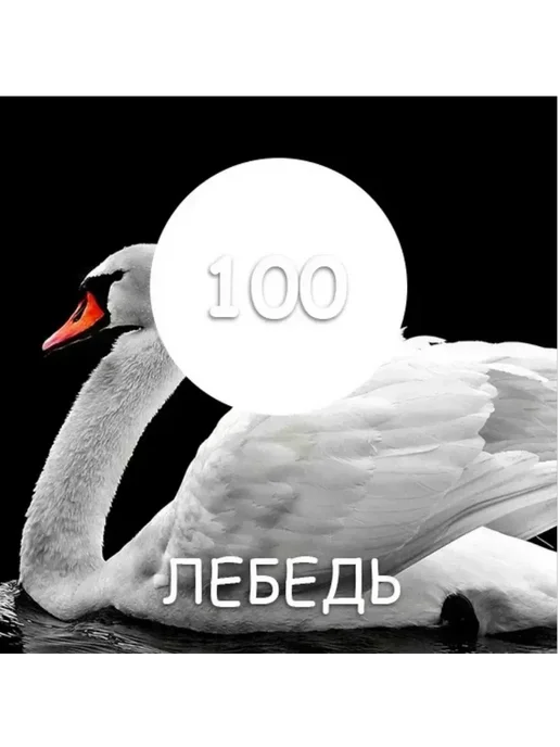 Краска трещиностойкая резиновая, матовая , 2,5 кг превью 2